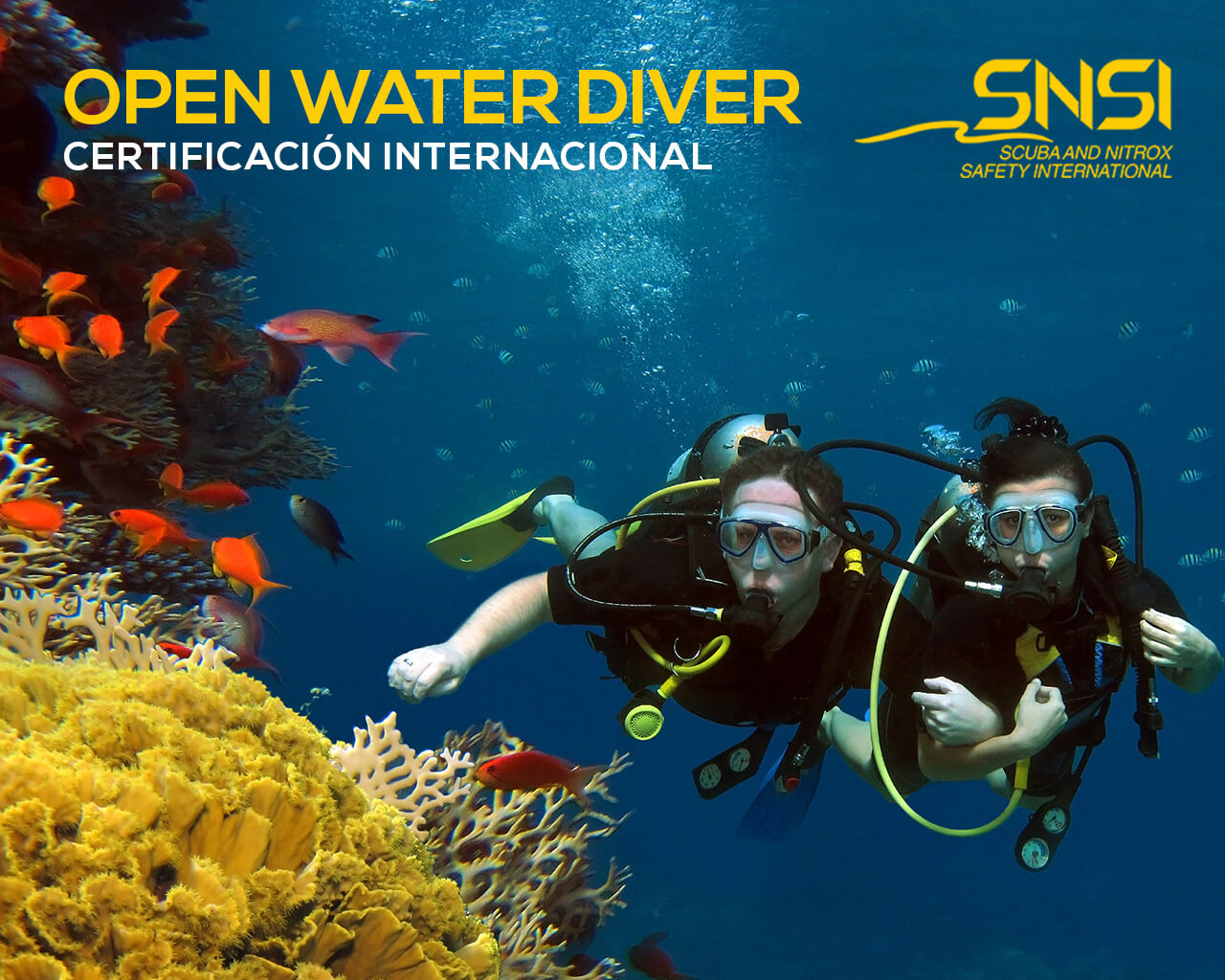 2curso open water diver con certificacion internacional snsi rec ecuador galapagos guayaquil